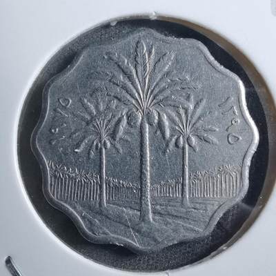 沼泽如烟--第894场 - 伊拉克