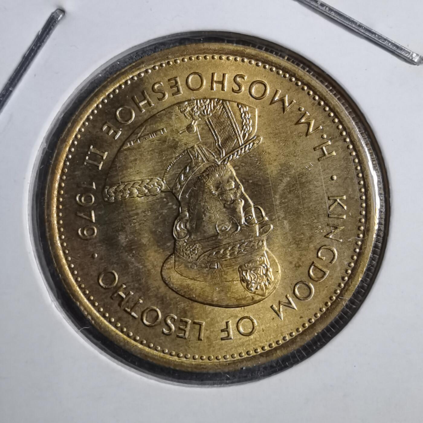 沼泽如烟--第894场