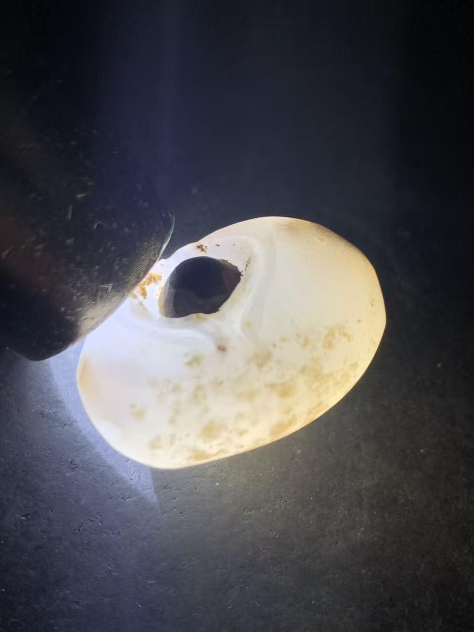 精美冰飘原皮战国红玛瑙雕刻天眼图案随形吊坠一个！