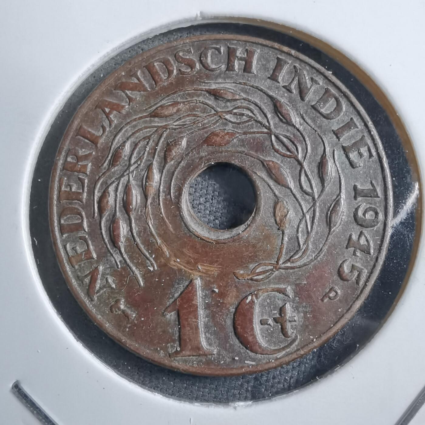 沼泽如烟--第894场