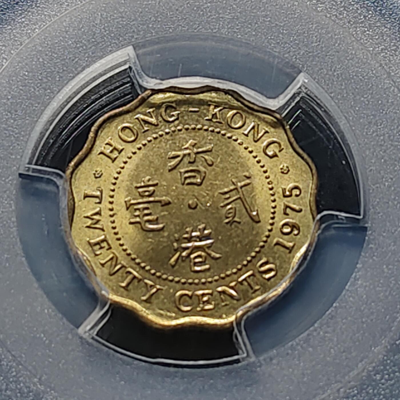 【全场包邮】纯粹捡漏拍477场（免费代拍第14场）调整中