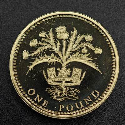 【淘币小摊】实时拍第七百九十一拍   散币纸币套币场   满百包邮可预留二周 每周一统一发货   - 英国1989年一镑精制铜币