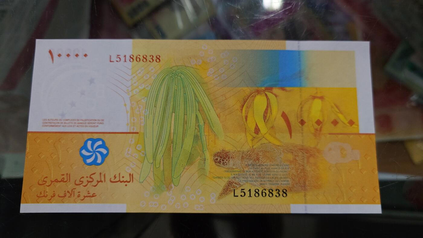 世界钱币～微拍第213期暨2025年第53期  部分库存清仓选号