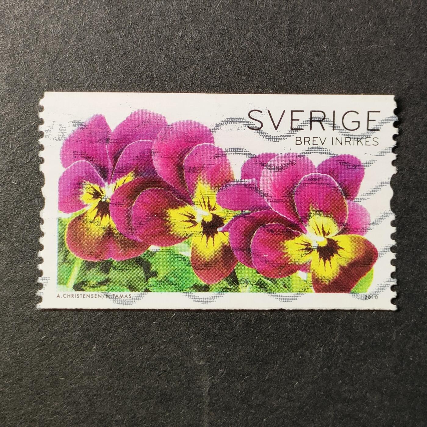 ↓君缘收藏646期☞钱币邮品↓无佣金、可寄存、满30元包邮  瑞典邮票，2010年夏季问候 园艺三色堇花卉邮票1全