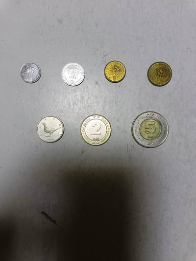【20251110】非全新纸币第302场 - 欧洲国家7枚硬币
