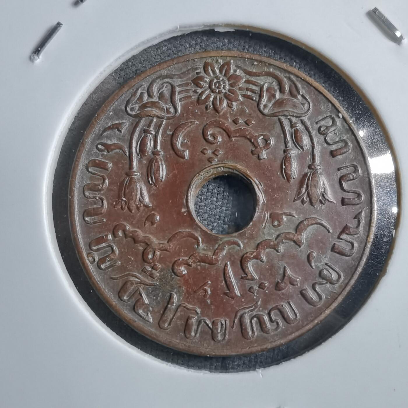 沼泽如烟--第894场