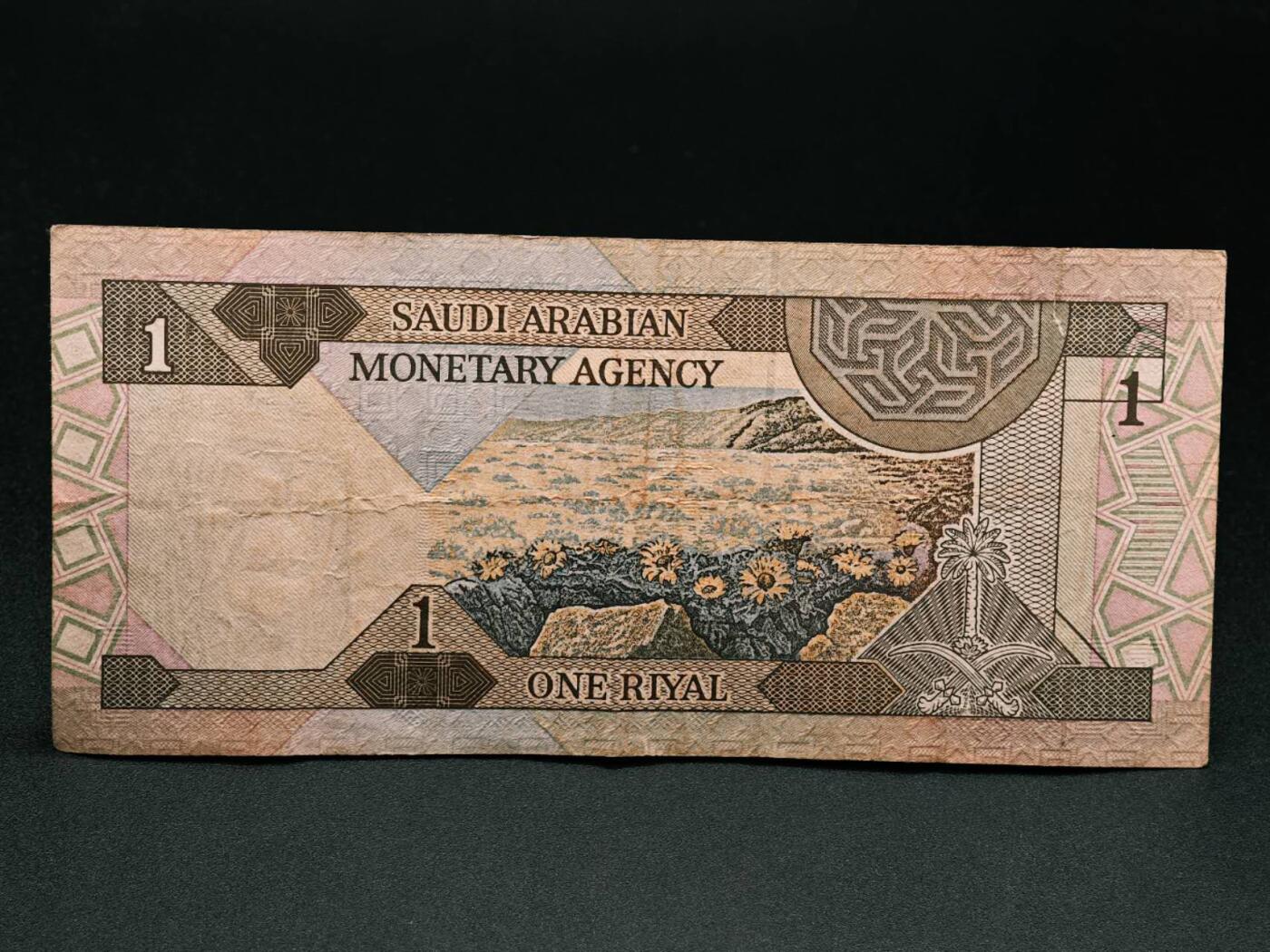 【淘币小摊】实时拍第七百九十一拍   散币纸币套币场   满百包邮可预留二周 每周一统一发货   沙特1里亚尔