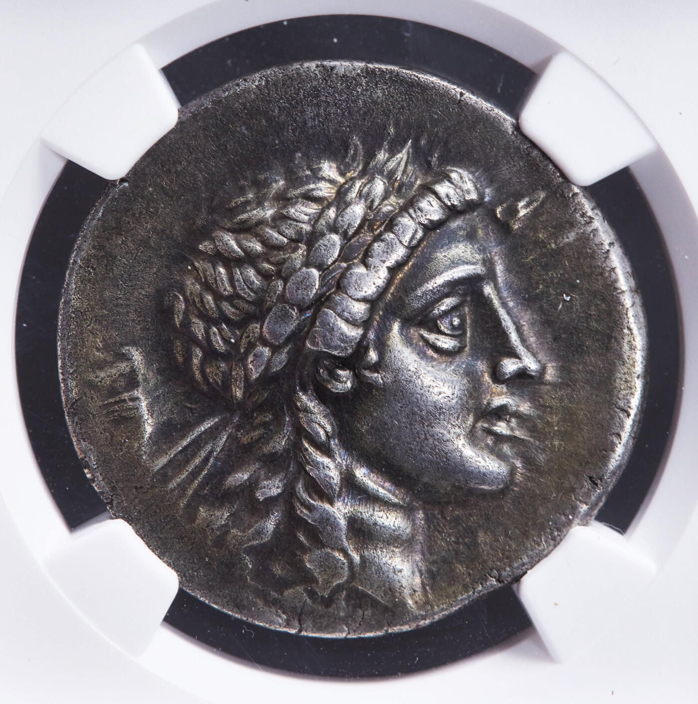 【俄甄集藏】2025年(044)11-12星期三晚 19:30 全场包邮 古希腊埃阿尼斯穆雷纳城公元前155-前145年阿波罗四德拉克马亚马逊女战士银币，NGC ChXF(Str 5/5, Sur 4/5)，正面戴月桂冠的阿波罗面右像；背面阿波罗朝右站立，一手持月桂枝，一手持祭盘，右下方有脐石和双耳陶罐，阿波罗左侧为城邦名，四周环绕着一圈橄榄枝，高分美品，蓝黑色包浆难得，直径32.5mm，重16.72克