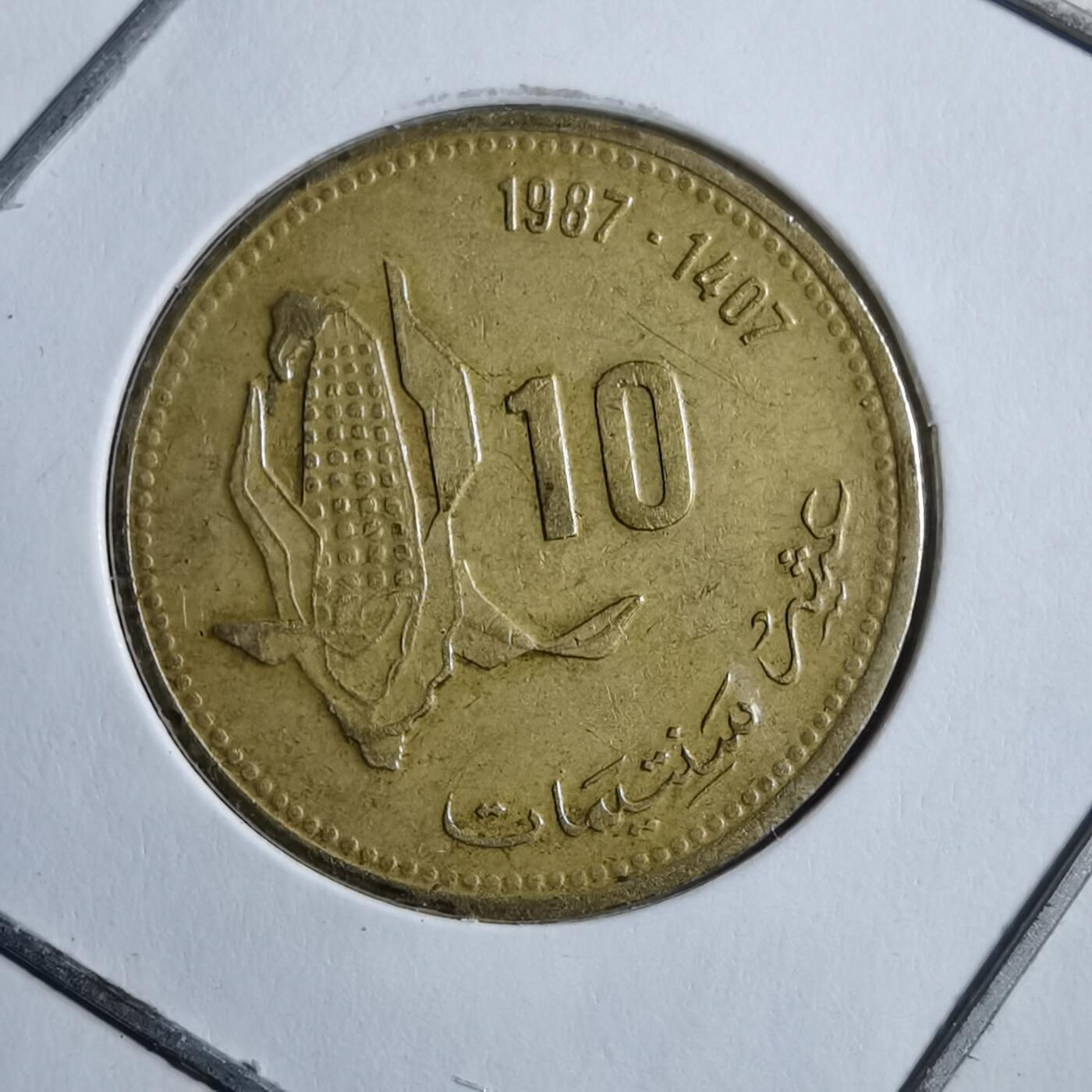 沼泽如烟--第894场 摩洛哥1987年10分