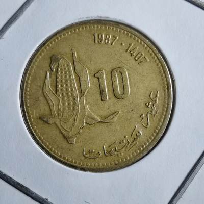 沼泽如烟--第894场 - 摩洛哥1987年10分