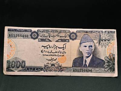 【淘币小摊】实时拍第七百九十一拍   散币纸币套币场   满百包邮可预留二周 每周一统一发货   - 巴基斯坦100卢比