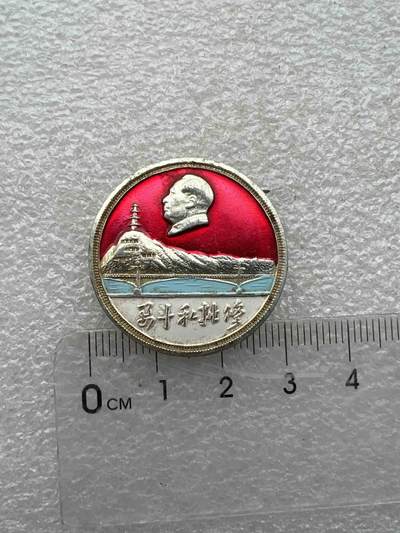 真品毛主席像章F - 真品毛主席像章纪念章