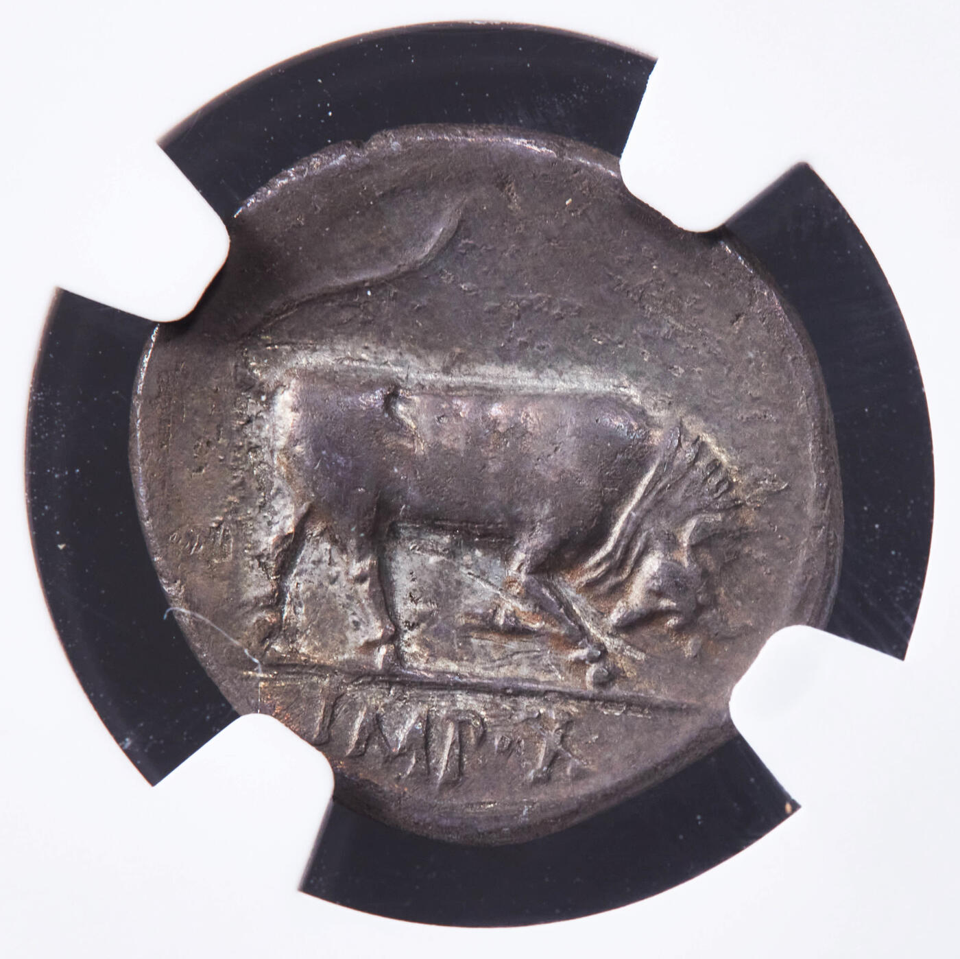 【俄甄集藏】2025年(044)11-12星期三晚 19:30 全场包邮 古罗马帝国公元前15年-前13年盖维斯·屋大维·奥古斯都1狄纳里公牛银币，NGC ChXF(Str 4/5, Sur 3/5)，卢格都诺姆造币厂打制（现今法国里昂），正面奥古斯都无冠冕面右像，背面一只向右冲撞的公牛，名家约瑟·M·赛文特科旧藏，底板光滑包浆均匀，整体图案居中完整，人像神态佳有浮雕感，发丝细节清晰饱满，很难碰到的一枚精品屋大维银币，稀有品种