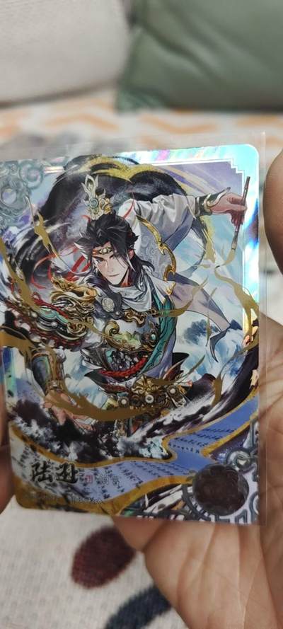 秋原瞳的小店第二十八期（持续收拍，深夜入冬的稀雨，总是静寂的……） - 卡游三国豪杰——陆逊