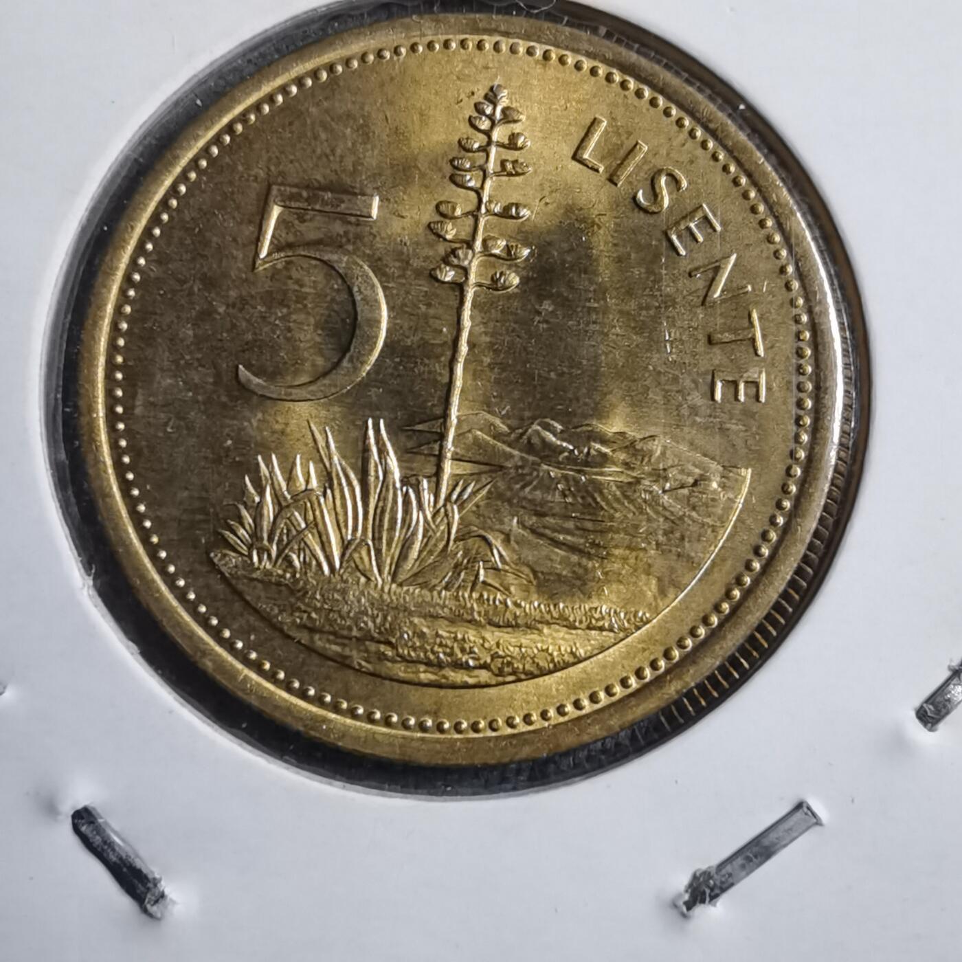 沼泽如烟--第894场