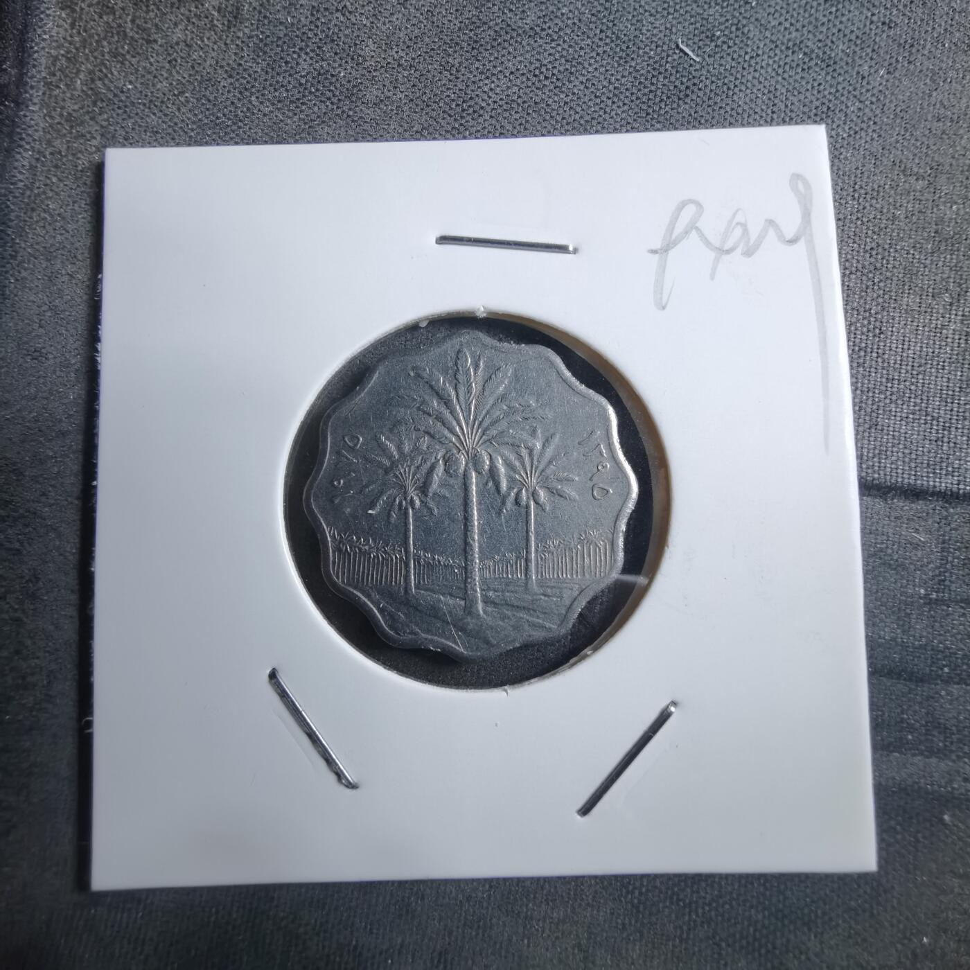 沼泽如烟--第894场