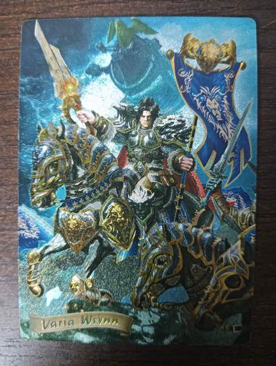 花开卡拍第46期（11月9号周日截拍，品控勿拍!!!拍品不寄存，运费5元，自制卡难免瑕疵，可能存在轻微撞角爆边等出厂瑕疵，品控介意勿拍！） - 奇点 魔兽 1张 粗闪