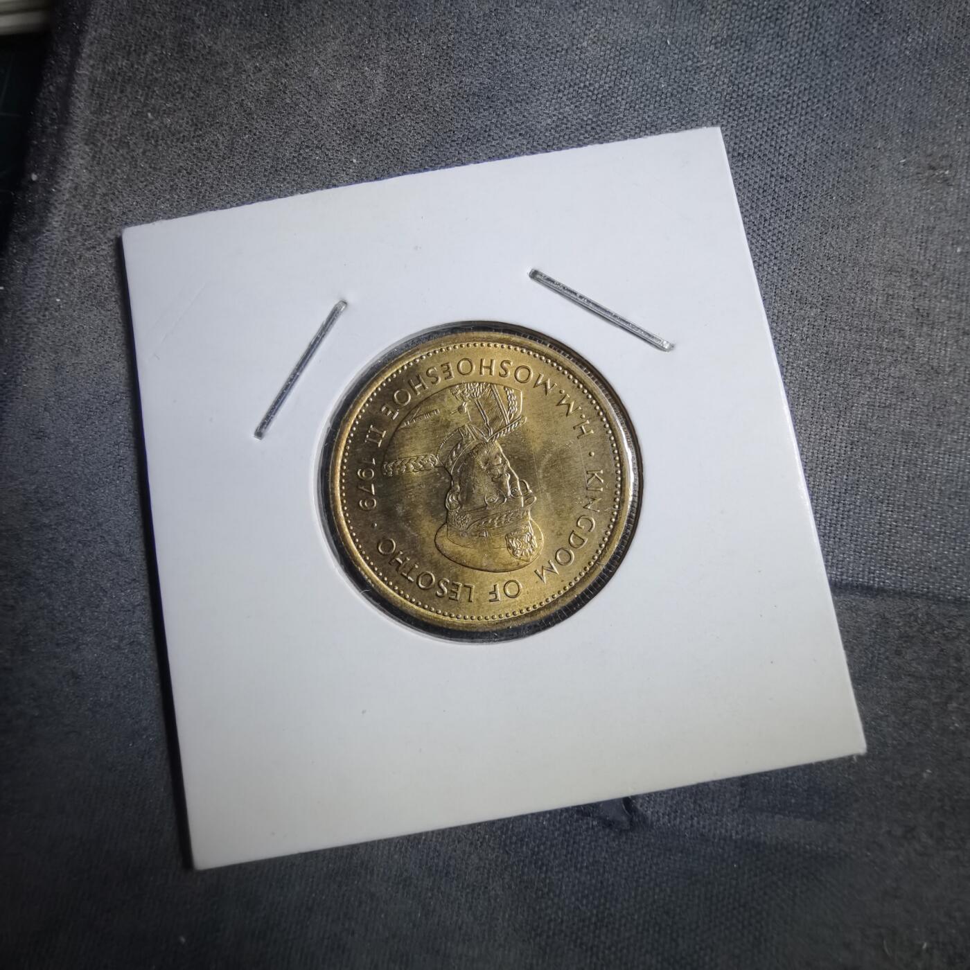 沼泽如烟--第894场