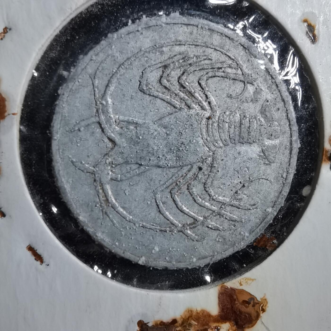 沼泽如烟--第894场 南也门龙虾