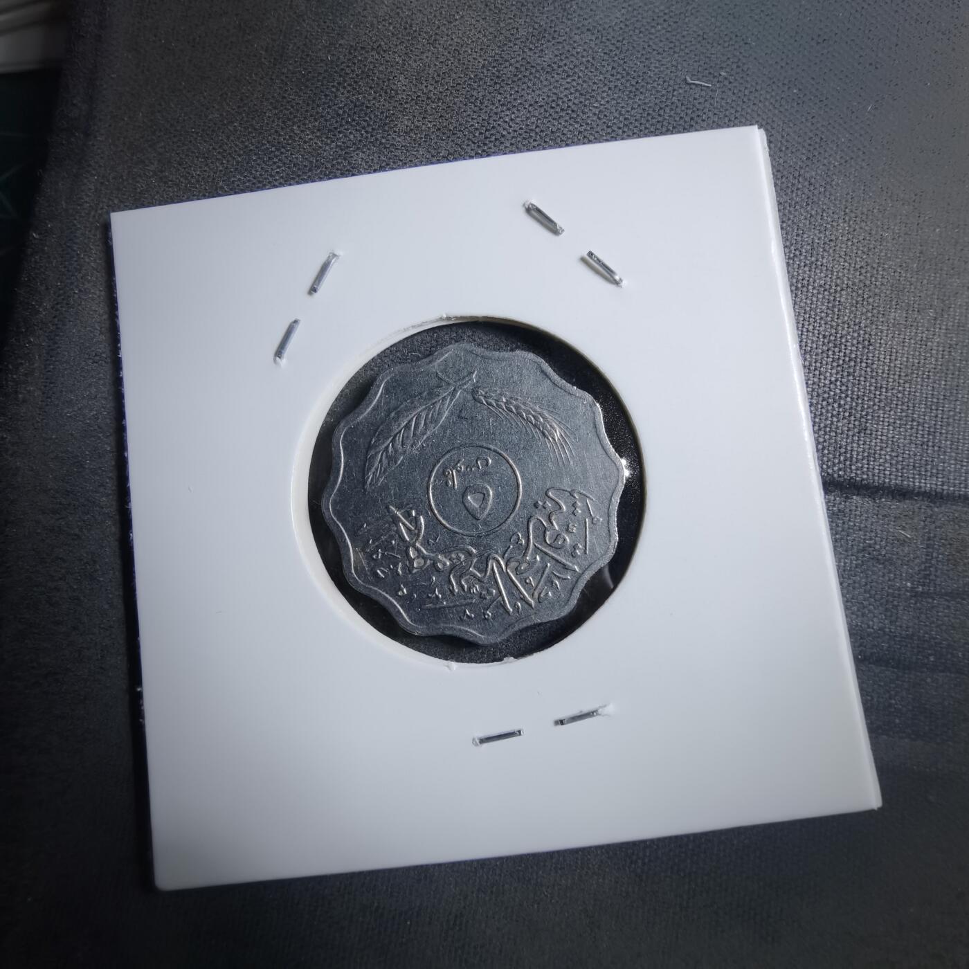 沼泽如烟--第894场