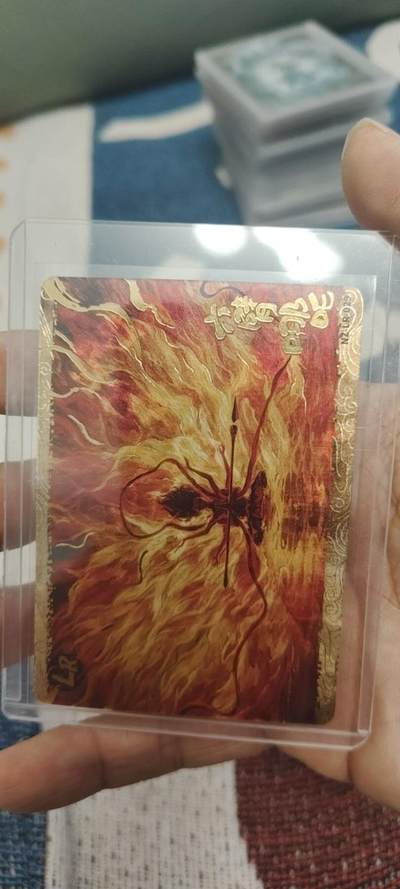 秋原瞳的小店第二十八期（持续收拍，深夜入冬的稀雨，总是静寂的……） - 卡游哪吒lr隐藏哪吒