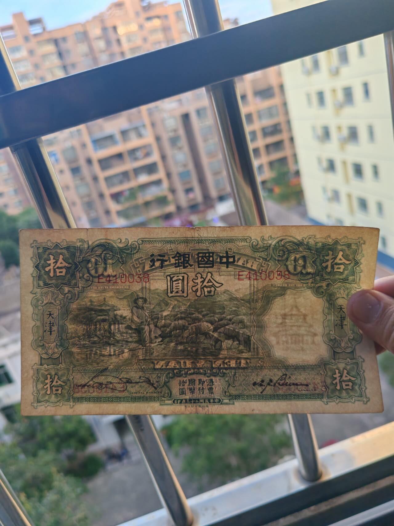 原票好品大绵羊