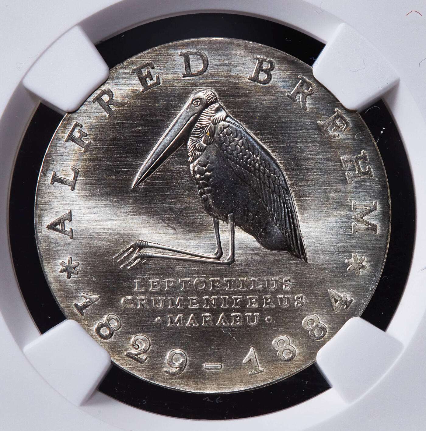 【俄甄集藏】2025年(044)11-12星期三晚 19:30 全场包邮 民主德国（东德）1984年A版非洲秃鹳插画，纪念动物学家、插图画家艾尔弗雷德·布雷姆逝世100周年10马克银币，NGC MS68，亚军，重17克，50%银，发行量50000枚，东德精制币里的名誉品种，少见品种