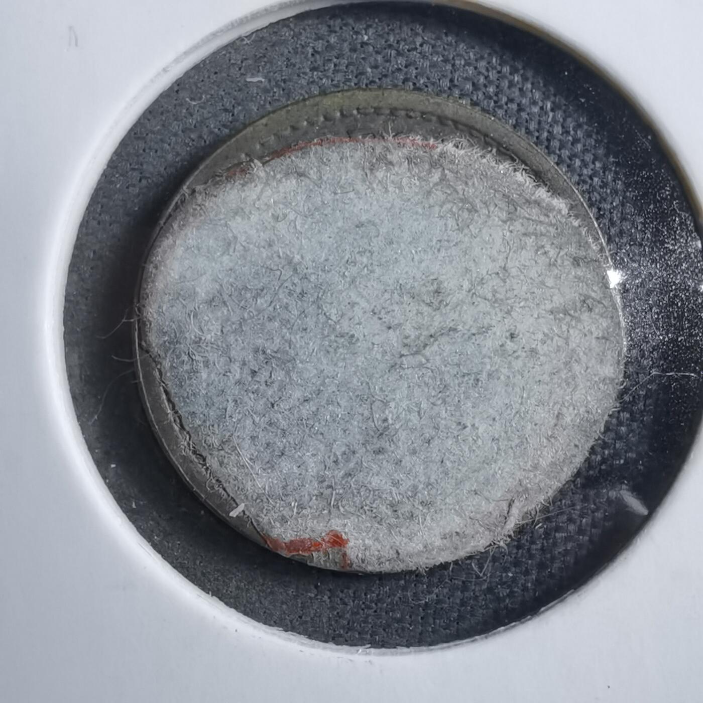 沼泽如烟--第894场 澳门1967年