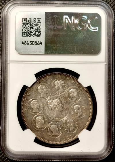 甄臻铺-世界币章拍卖（第38期）立冬小精品场，送拍享返佣金等优惠多多 NGC-MS61分1828年德国巴伐利亚路德维希一世皇家全家福历史泰勒大银币 粉彩包浆 外拍价格已经起飞