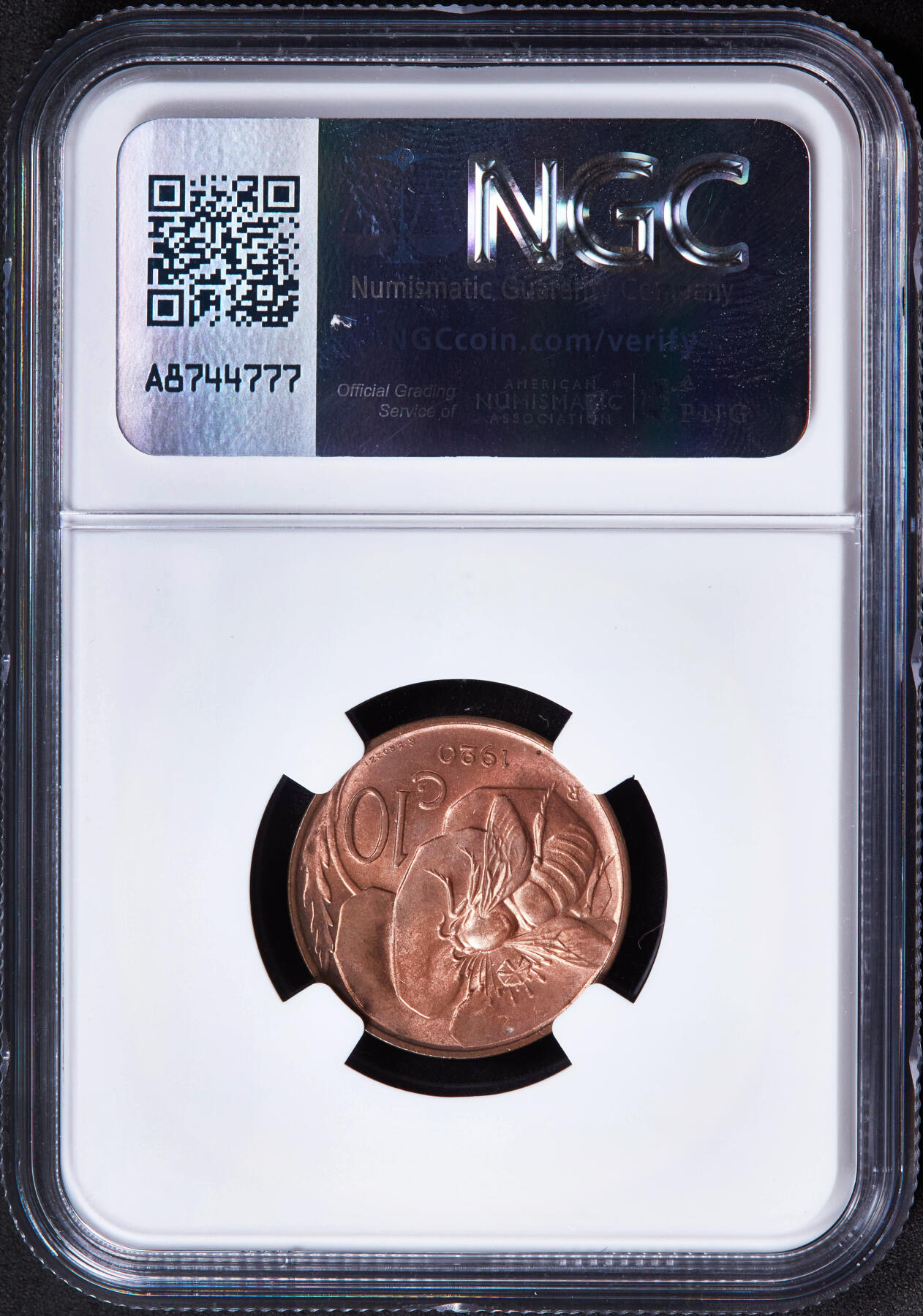 【俄甄集藏】2025年(044)11-12星期三晚 19:30 全场包邮 意大利1920年R版伊曼纽尔三世蜜蜂10分铜币，NGC MS65RB，原铜光闪闪，转光品相，钱币史上十分经典的设计，热门品种