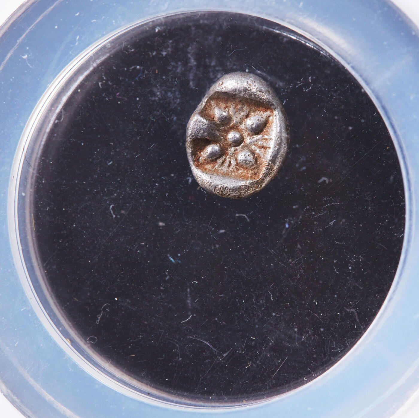 【俄甄集藏】2025年(044)11-12星期三晚 19:30 全场包邮 古希腊爱奥尼亚米利都城邦约公元前6世纪晚期-前5世纪早期狮子头1奥波银币，NGC ChVF，正面张口咆哮的向左的狮子头，背面戳记中有大芒星图案，经典品种