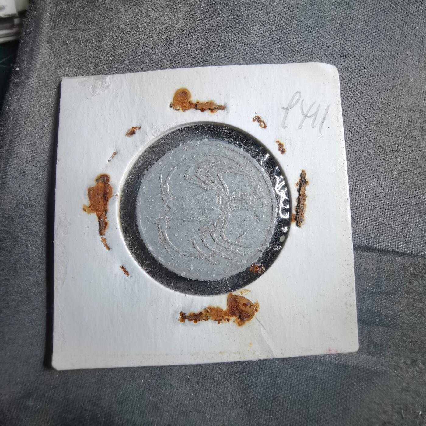 沼泽如烟--第894场 南也门龙虾