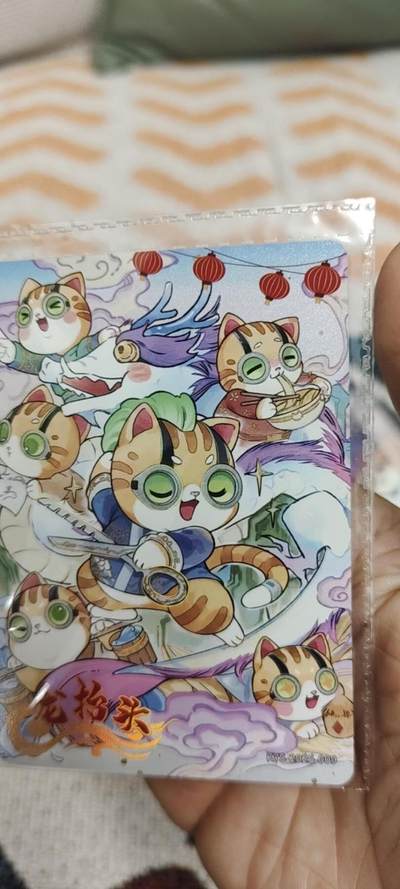 秋原瞳的小店第二十八期（持续收拍，深夜入冬的稀雨，总是静寂的……） - 卡游抽卡机城市卡——龙抬头