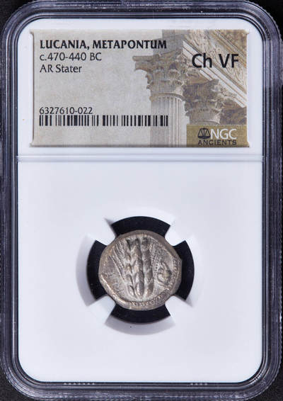 【俄甄集藏】2025年(044)11-12星期三晚 19:30 全场包邮 - 古希腊卢卡尼亚梅塔蓬城公元前470-前440年1斯塔特大麦公羊首穗银币，NGC ChVF，正面一株大麦穗，左侧币文为地名梅塔蓬城，右侧羊首，背面内凹大麦穗图案，打制周正，经典品种