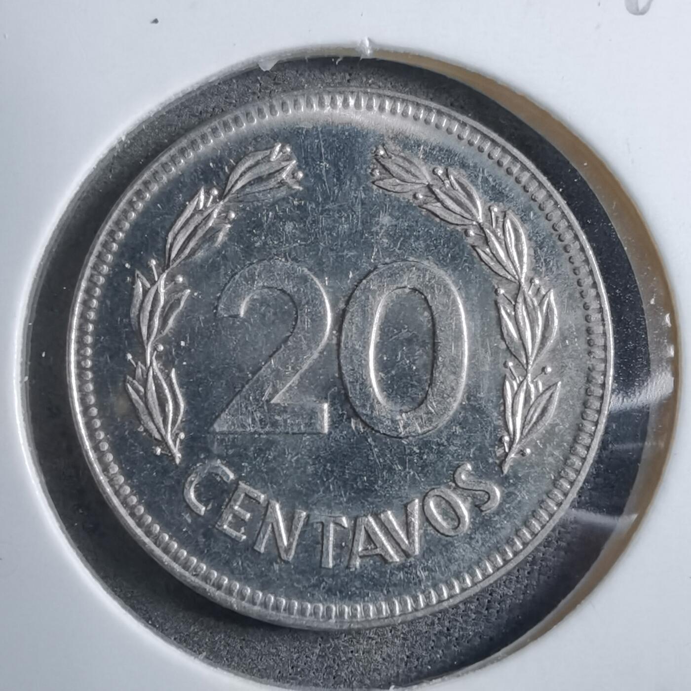 沼泽如烟--第894场 厄瓜多尔1980年20分