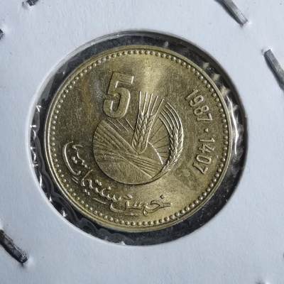 沼泽如烟--第894场 - 摩洛哥1987年五分