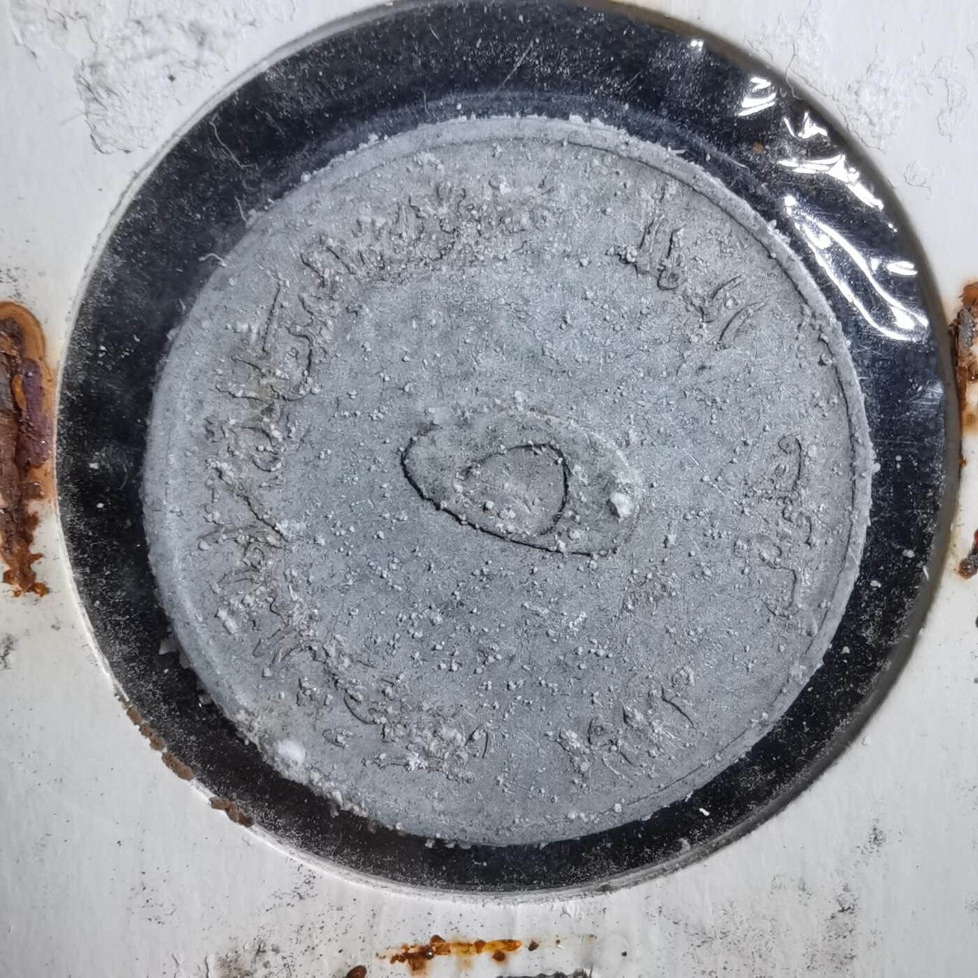 沼泽如烟--第894场 南也门龙虾