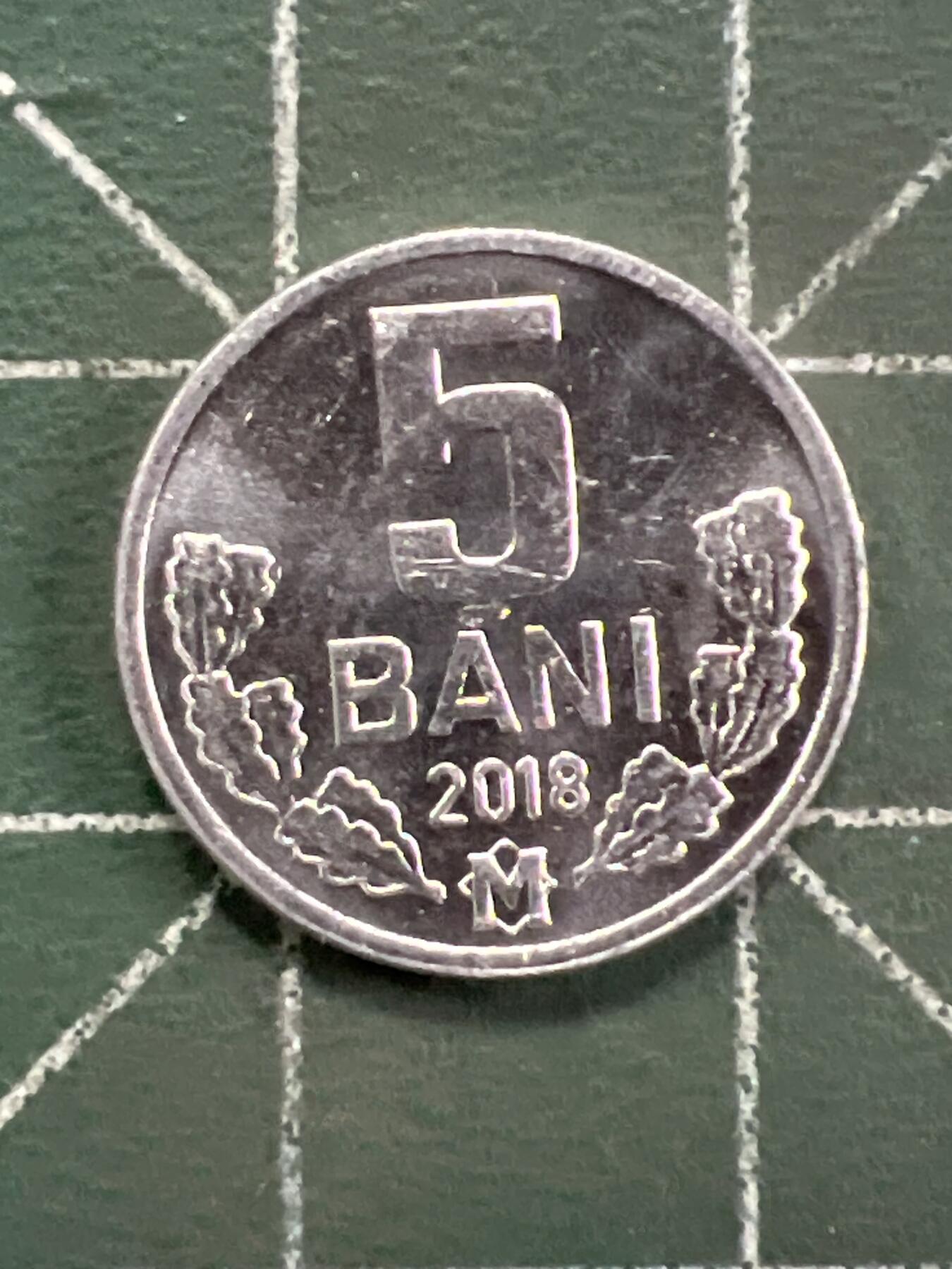 第1042 硬币专场 （无押金，捡漏，全场50包邮，偏远地区除外，接收代拍业务，本店十天发一次货） 摩尔多瓦 5巴尼