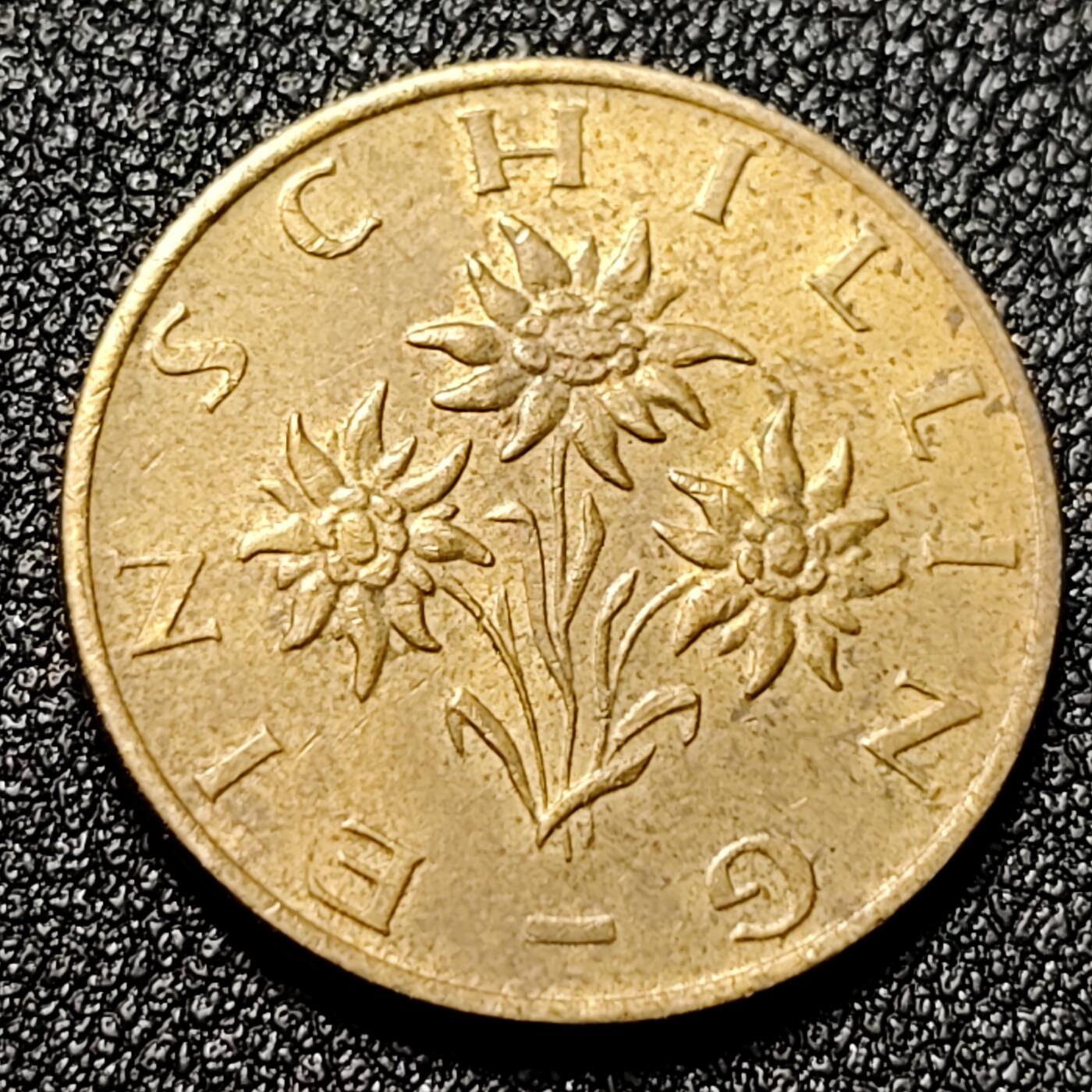 泉币菌-第125场-126场 并场 精品福利场(115场之后的本周末发货，感谢理解) 。