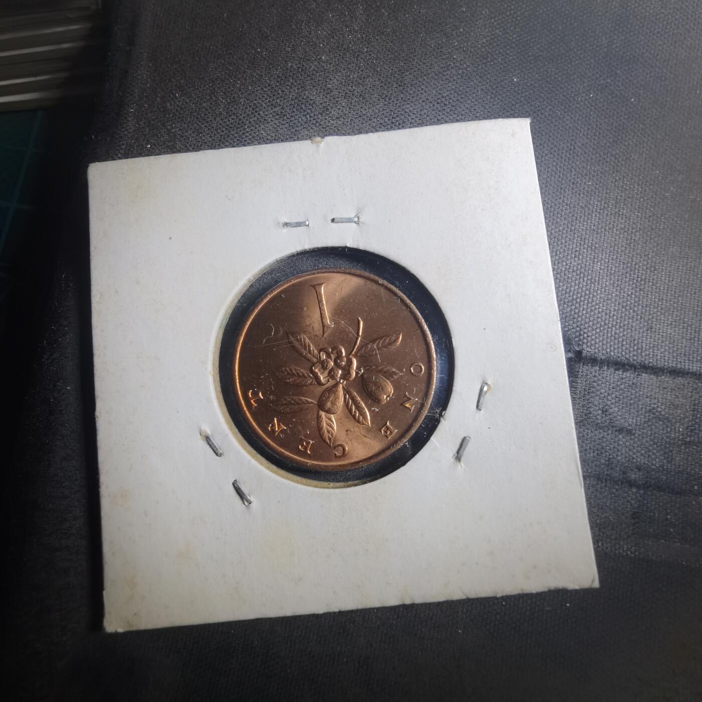 沼泽如烟--第896场