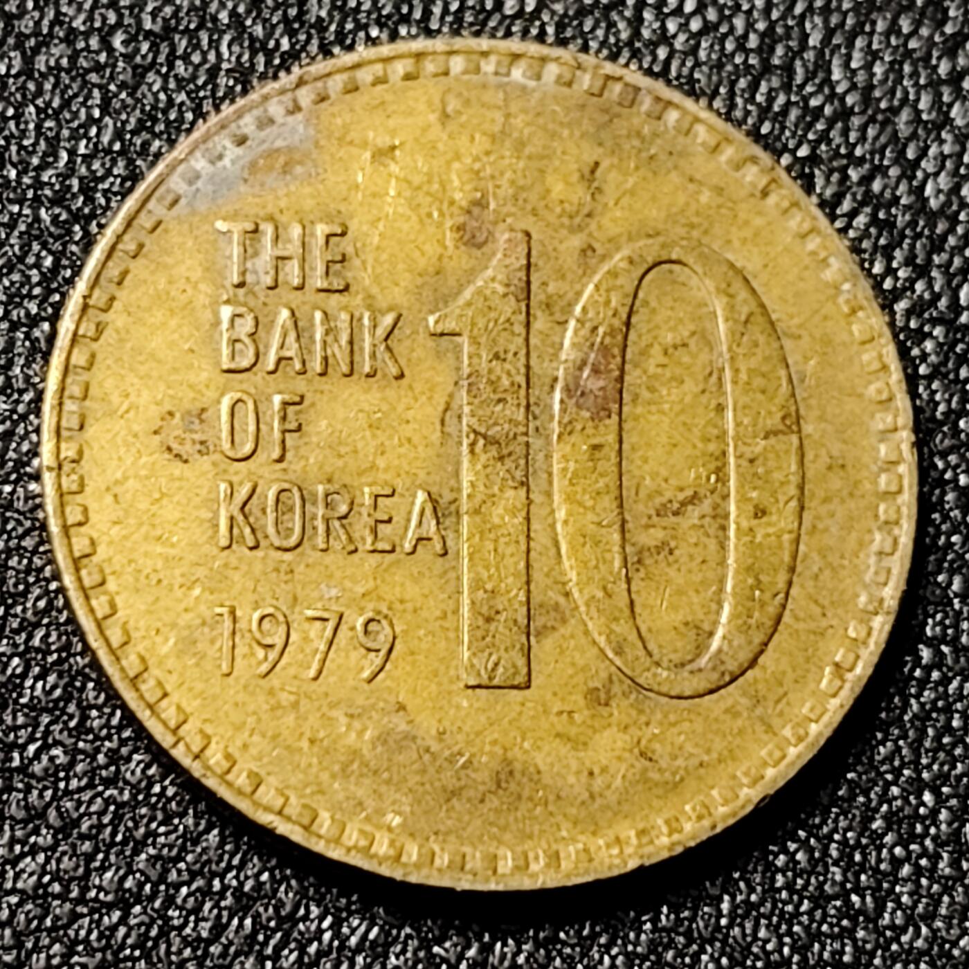 泉币菌-第125场-126场 并场 精品福利场(115场之后的本周末发货，感谢理解) 。