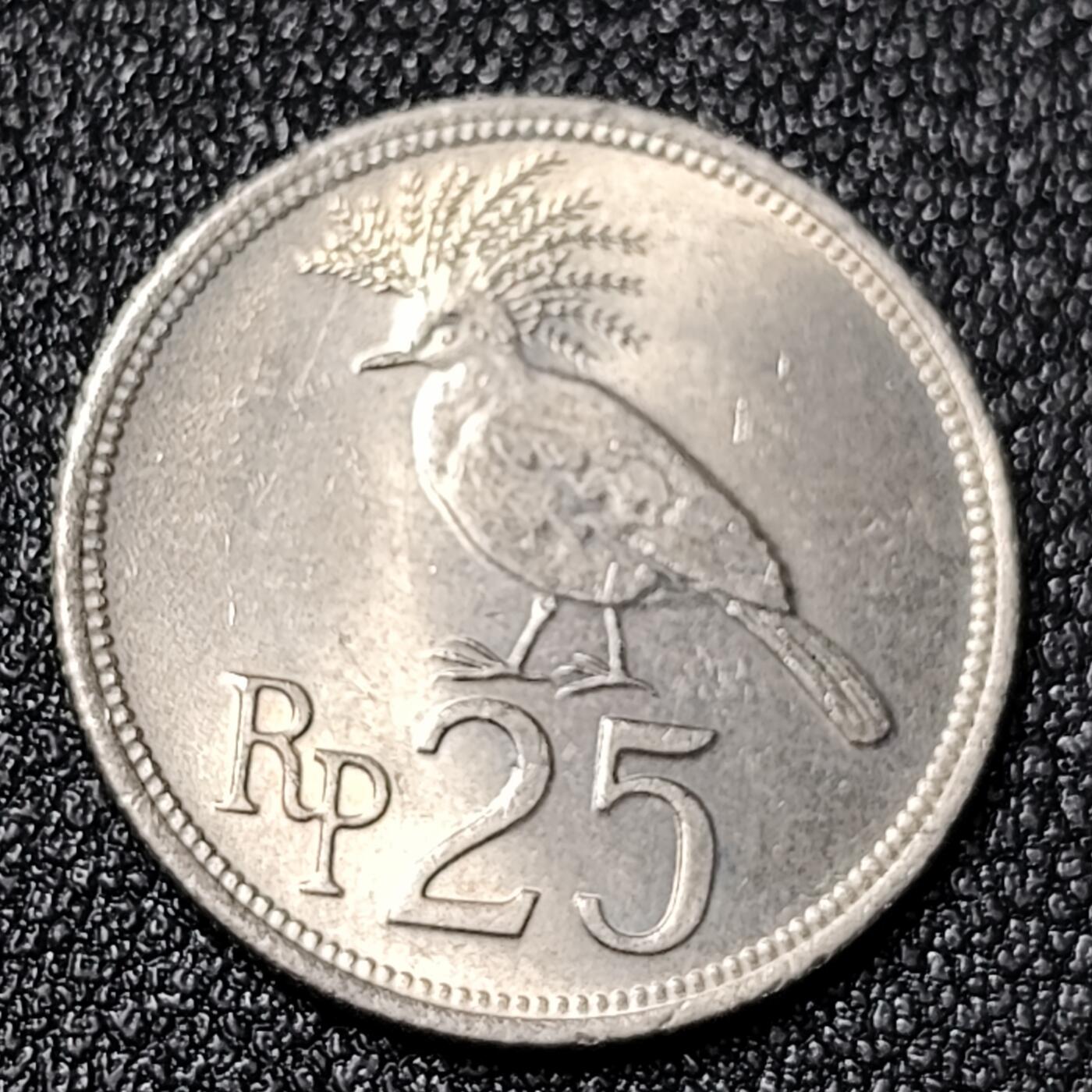 泉币菌-第125场-126场 并场 精品福利场(115场之后的本周末发货，感谢理解) 。