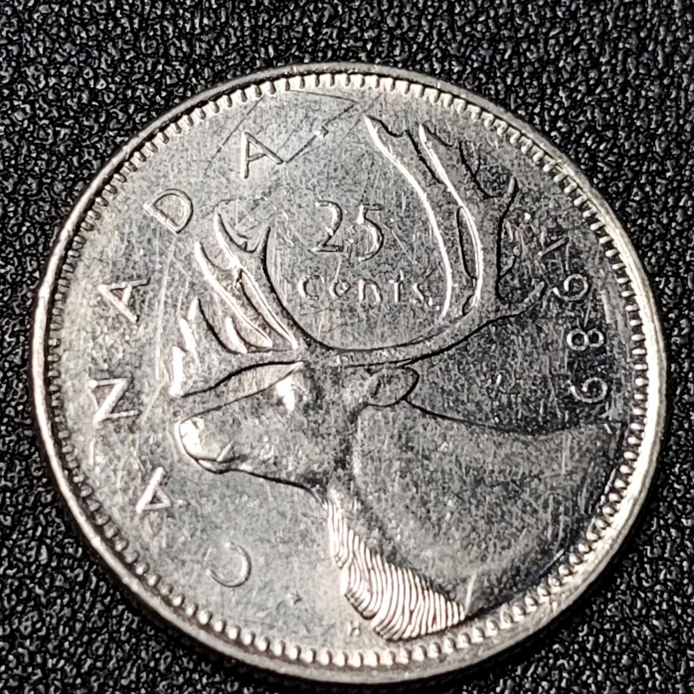 泉币菌-第125场-126场 并场 精品福利场(115场之后的本周末发货，感谢理解) 。