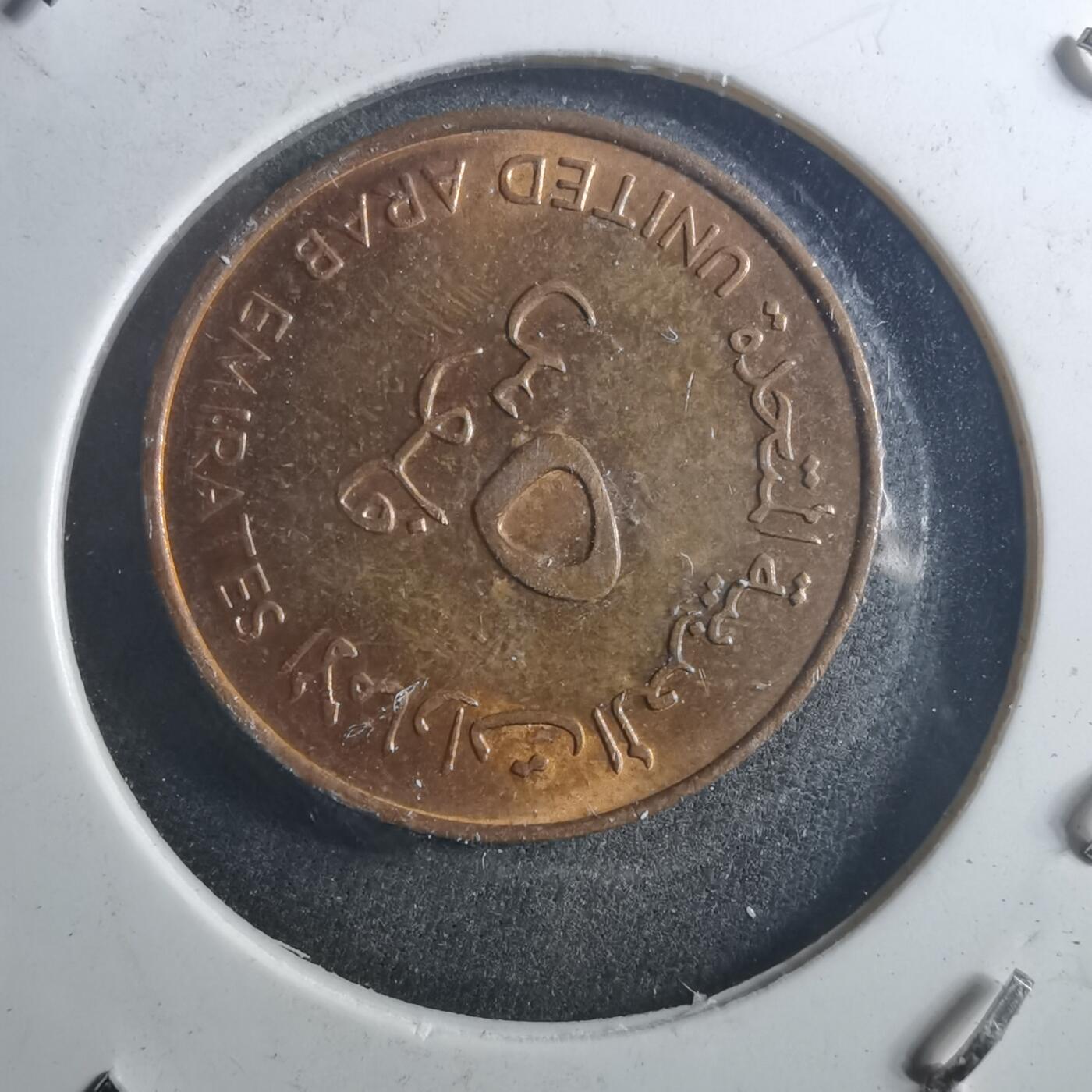 沼泽如烟--第895场 阿联酋