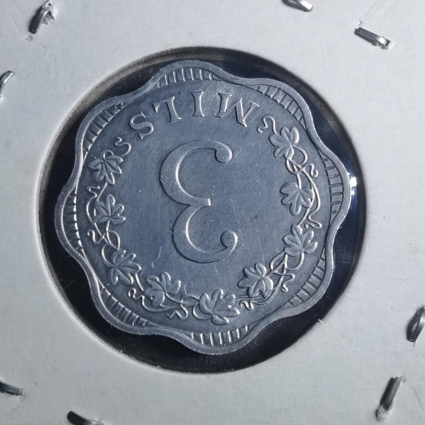 沼泽如烟--第896场