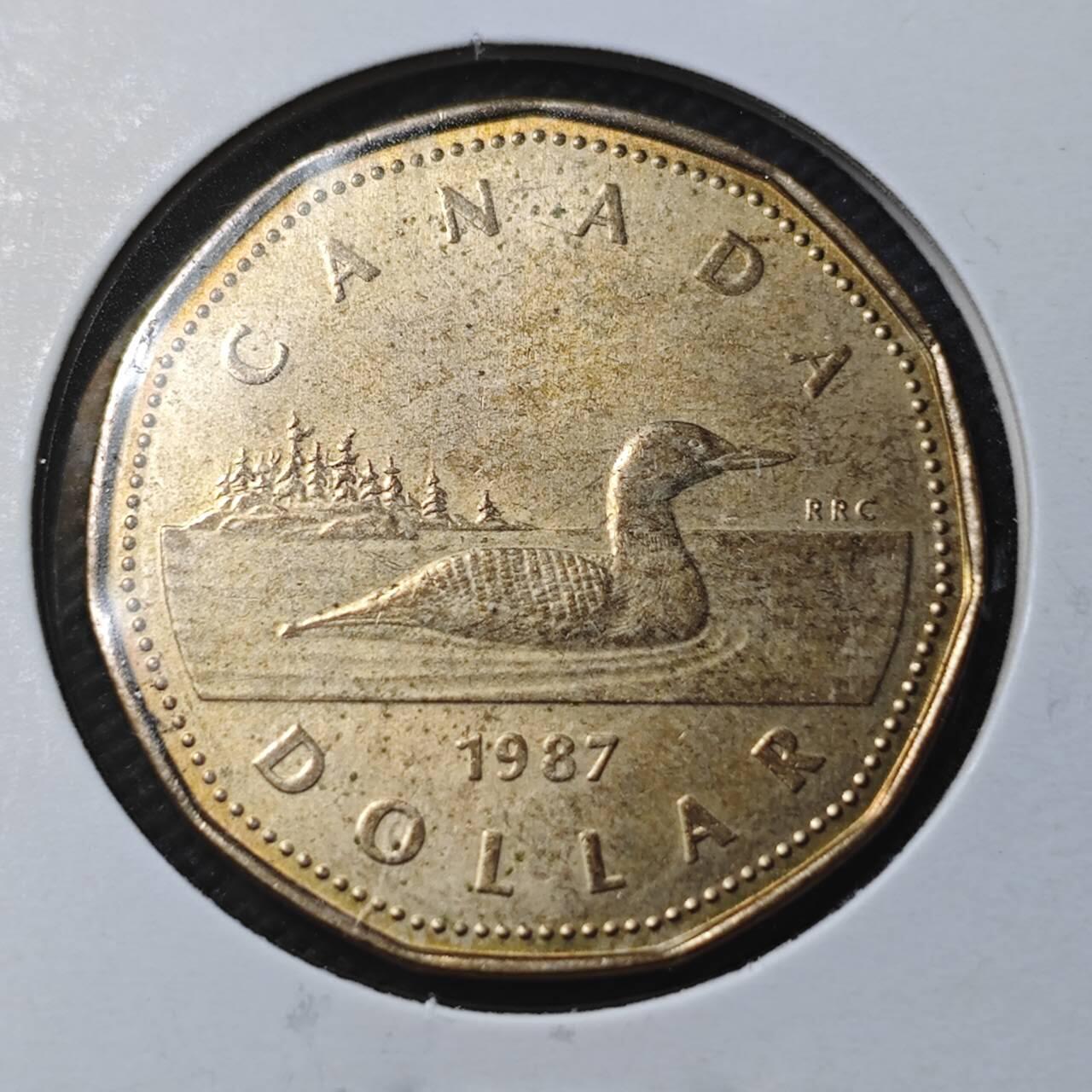 KK钱币收藏小铺  第366场  2月预留时间 周末发货  加拿大1元