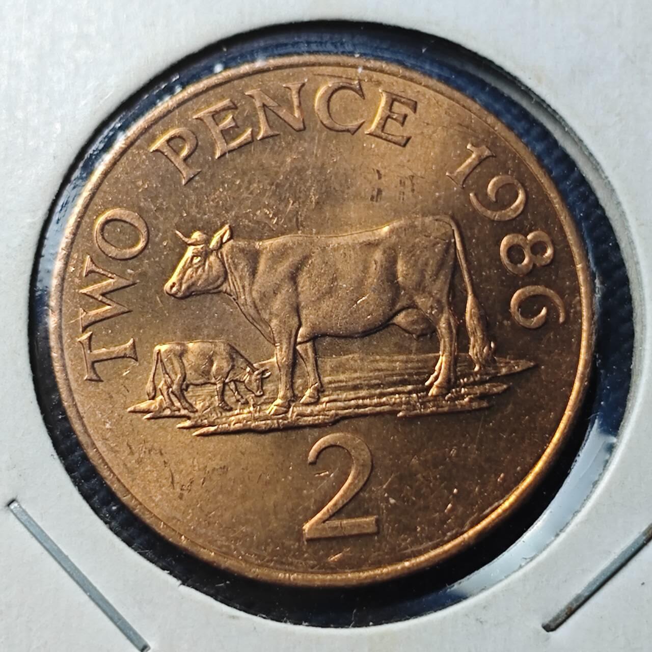 KK钱币收藏小铺  第366场  2月预留时间 周末发货  