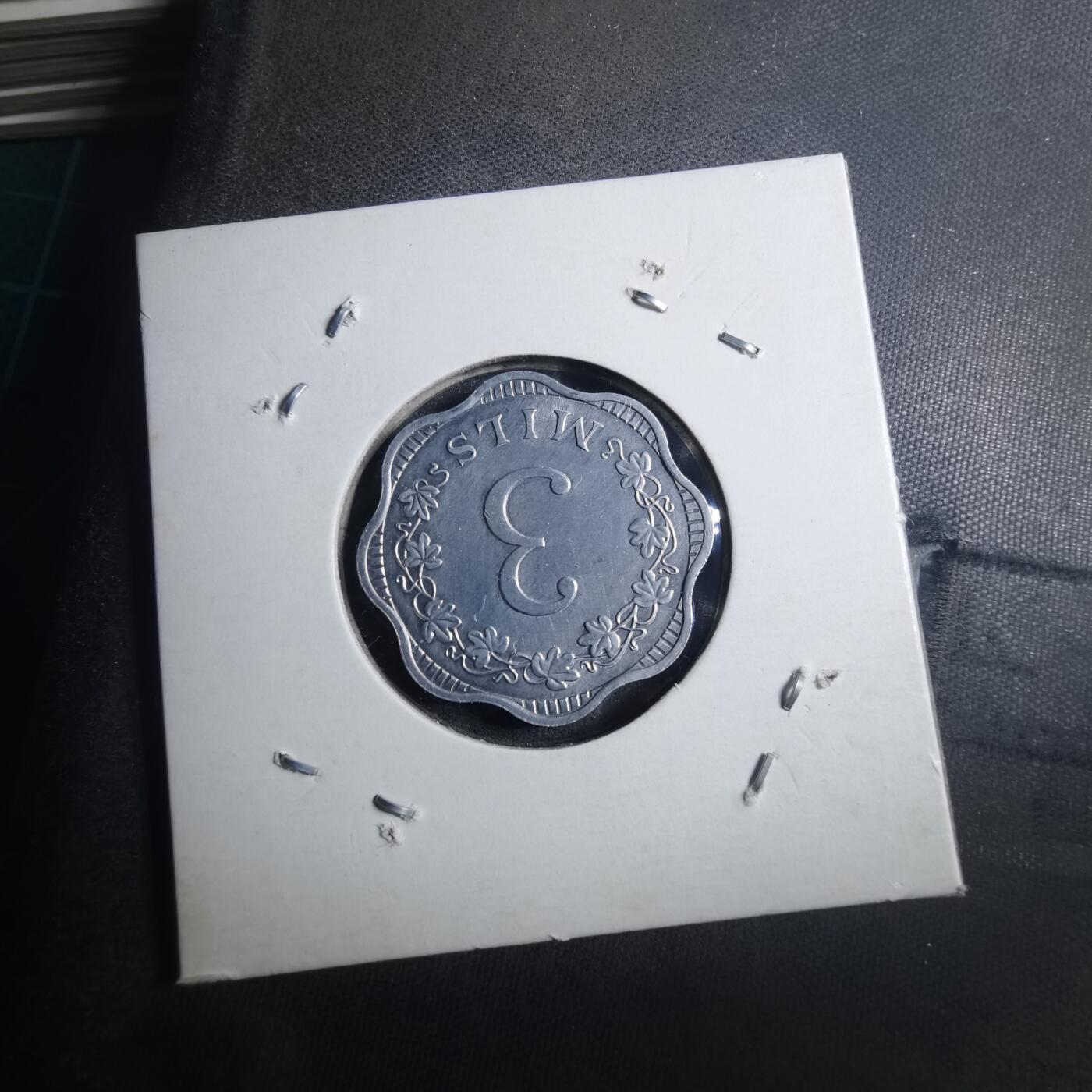 沼泽如烟--第896场