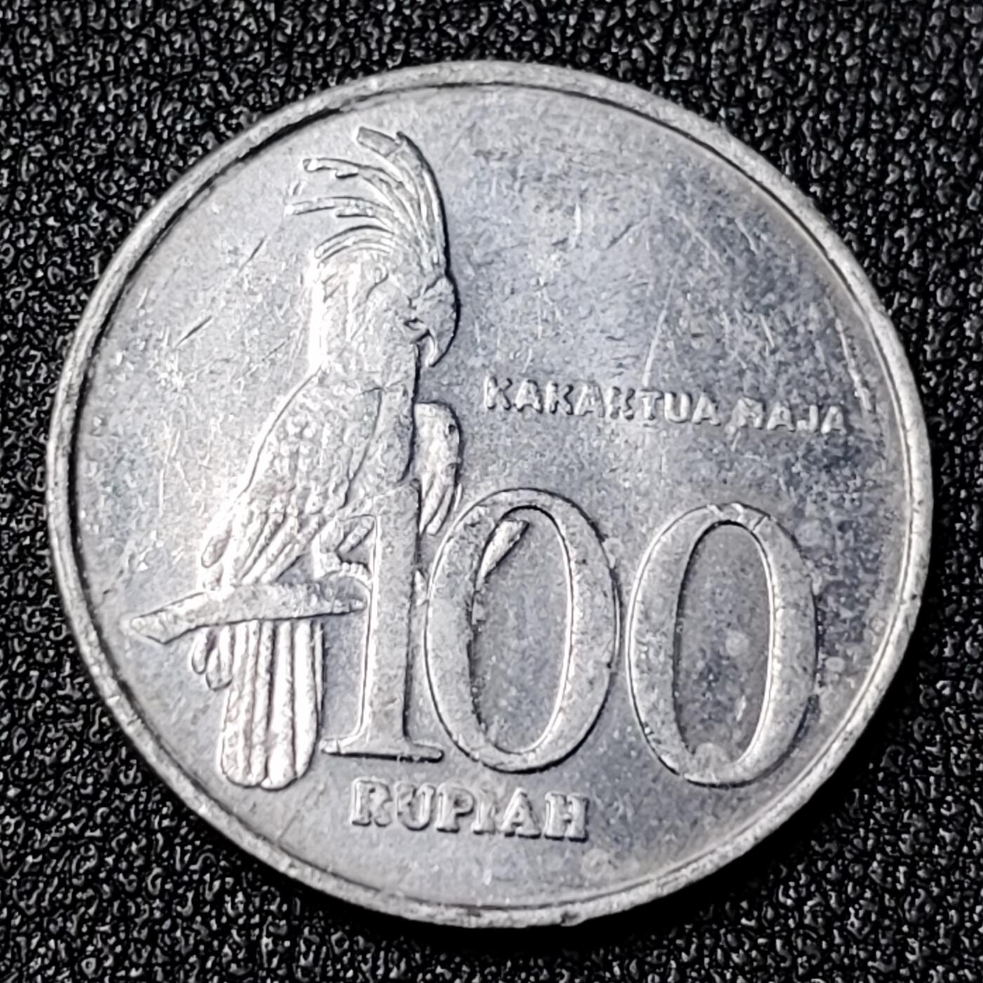 泉币菌-第125场-126场 并场 精品福利场(115场之后的本周末发货，感谢理解) 。