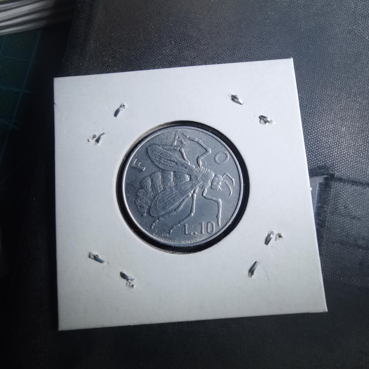 沼泽如烟--第896场